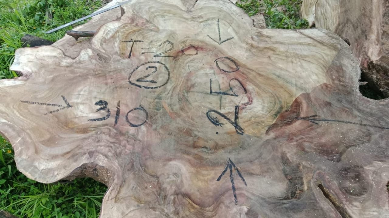 espejos de 60 cm en madera de olivo (copia) espejos de 60 cm en madera de olivo (copia)