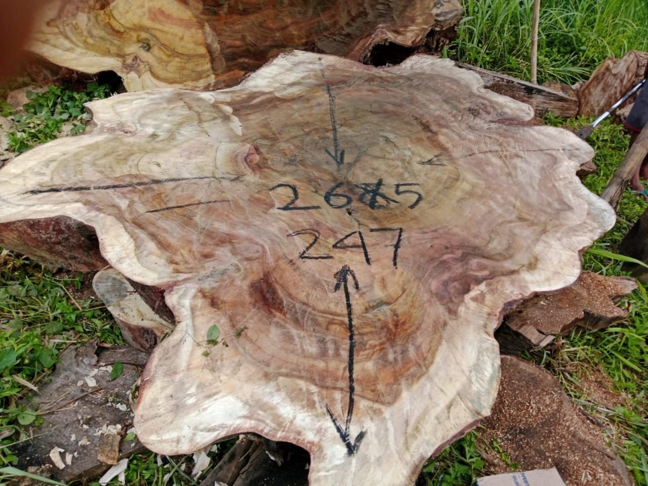 espejos de 60 cm en madera de olivo (copia) espejos de 60 cm en madera de olivo (copia)