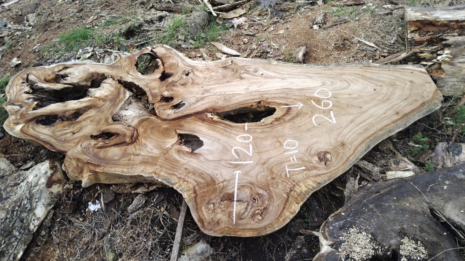 espejos de 60 cm en madera de olivo (copia) espejos de 60 cm en madera de olivo (copia)