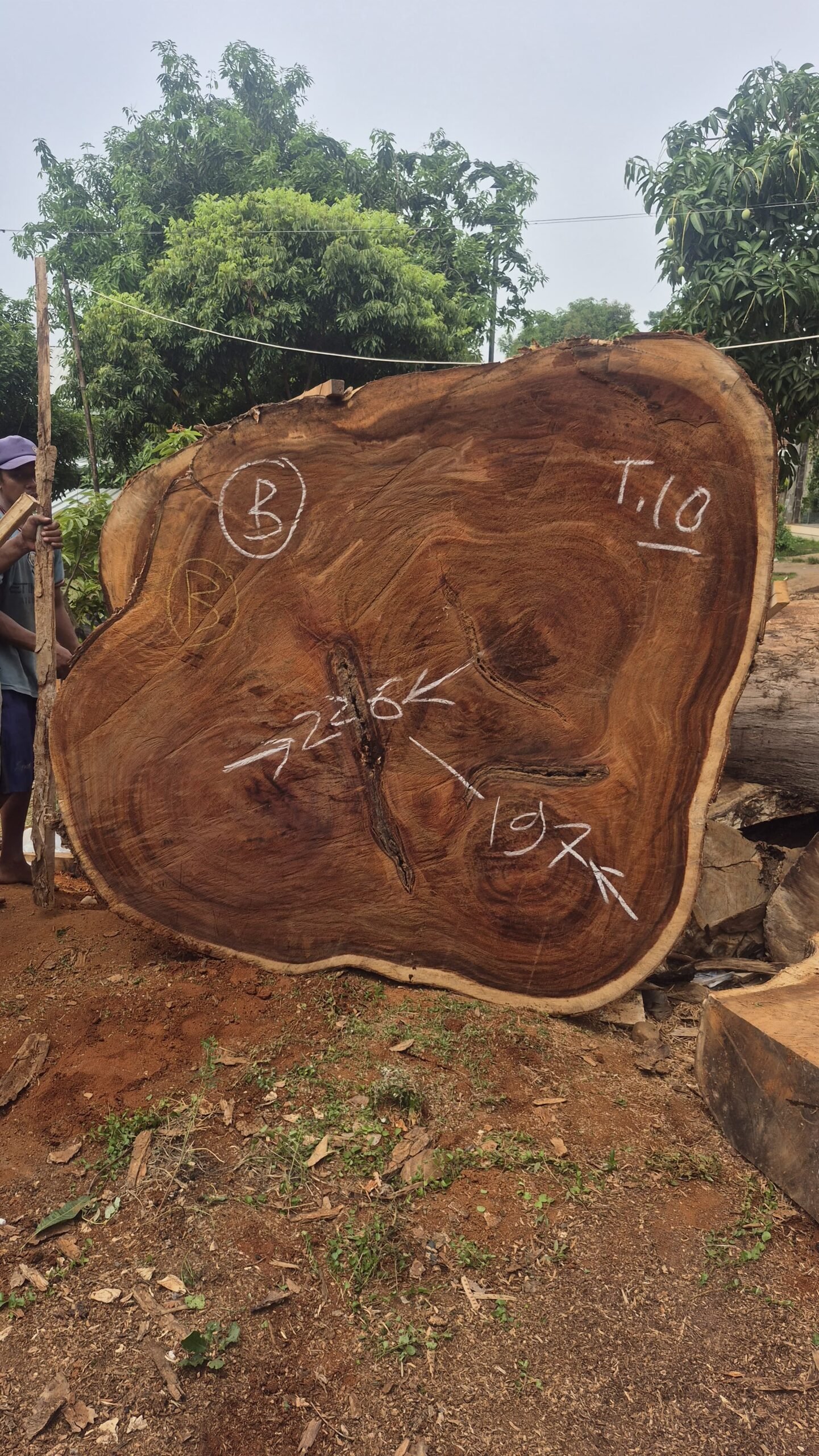 espejos de 60 cm en madera de olivo (copia) espejos de 60 cm en madera de olivo (copia)