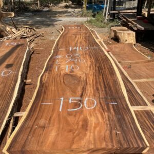 Piezas especiales de Samán de 60 cm