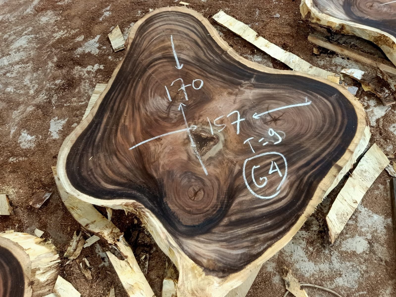 espejos de 60 cm en madera de olivo (copia) espejos de 60 cm en madera de olivo (copia)