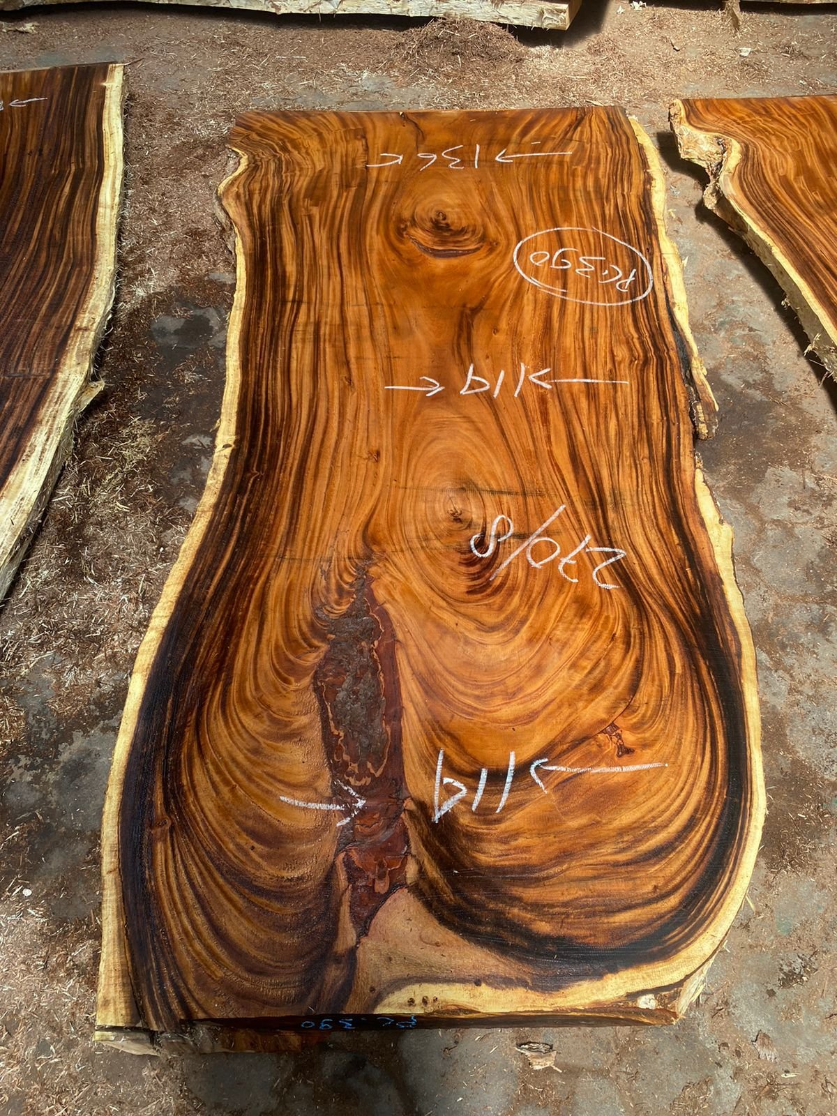 Piezas especiales de Samán de 60 cm Piezas especiales de Samán de 60 cm