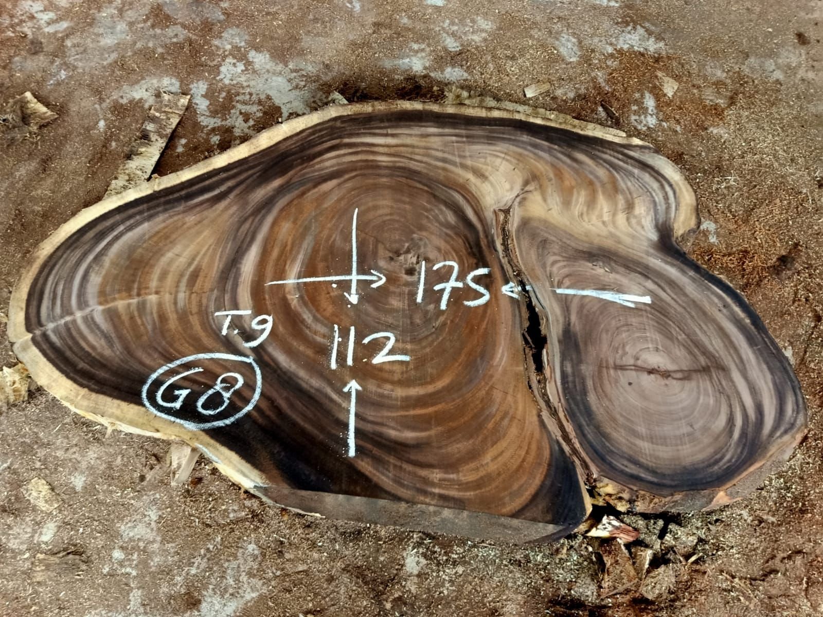 espejos de 60 cm en madera de olivo (copia) espejos de 60 cm en madera de olivo (copia)