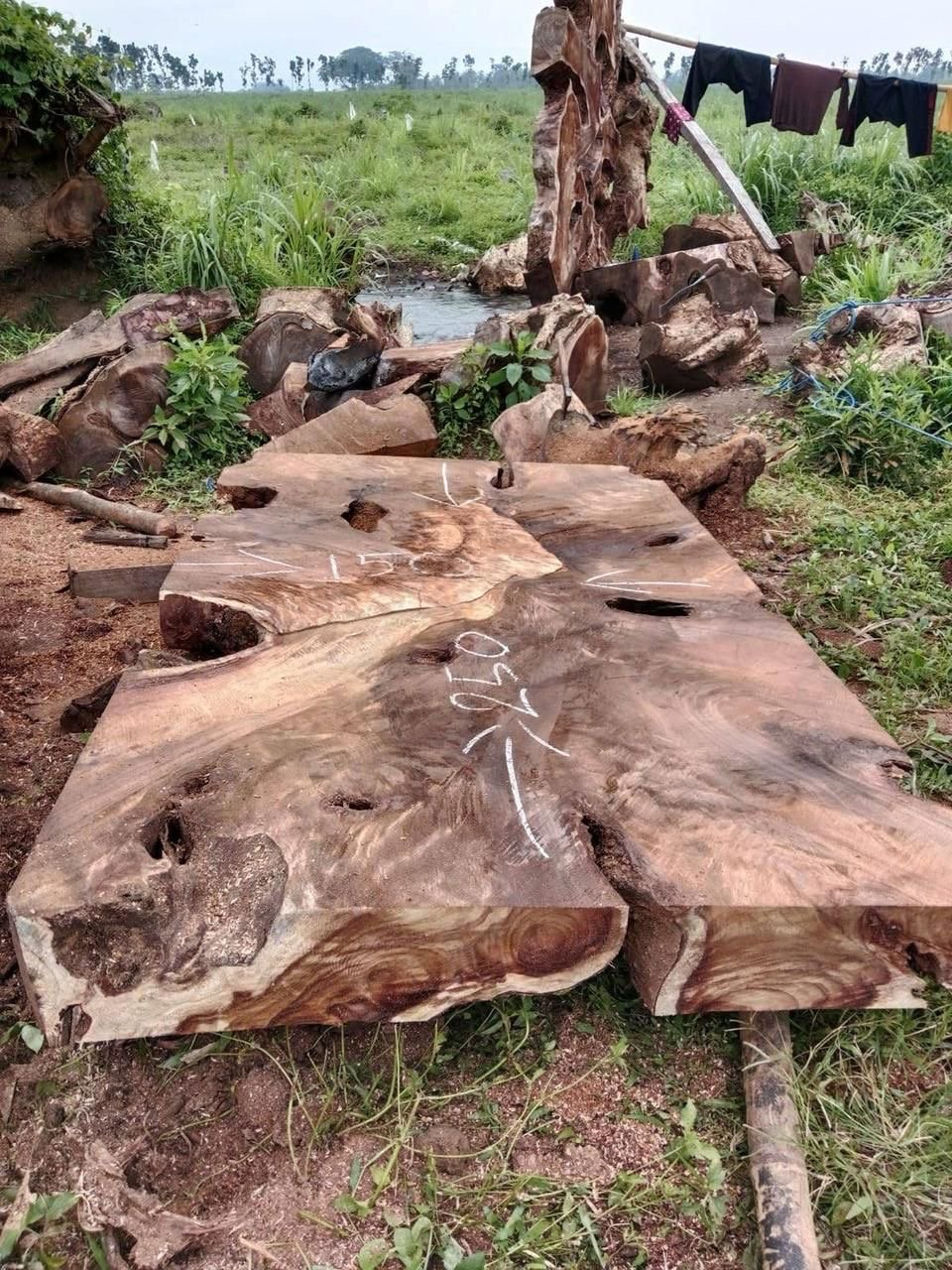 espejos de 60 cm en madera de olivo (copia) espejos de 60 cm en madera de olivo (copia)