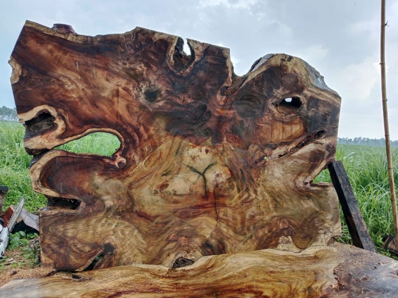 espejos de 60 cm en madera de olivo (copia) espejos de 60 cm en madera de olivo (copia)