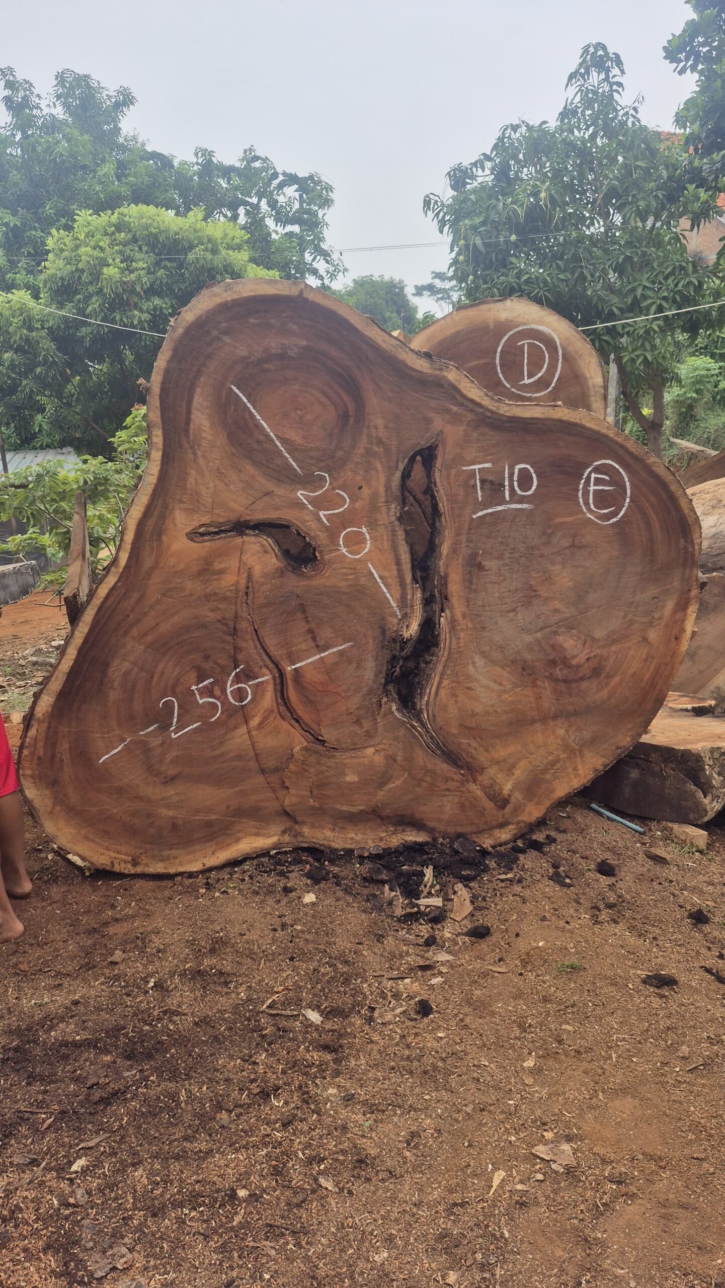 espejos de 60 cm en madera de olivo (copia) espejos de 60 cm en madera de olivo (copia)