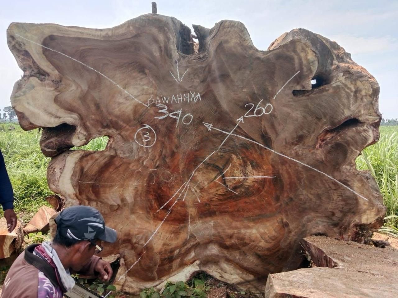 espejos de 60 cm en madera de olivo (copia) espejos de 60 cm en madera de olivo (copia)